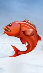 Ice Fishing